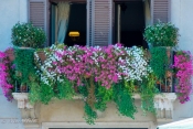 Villefranche_Window